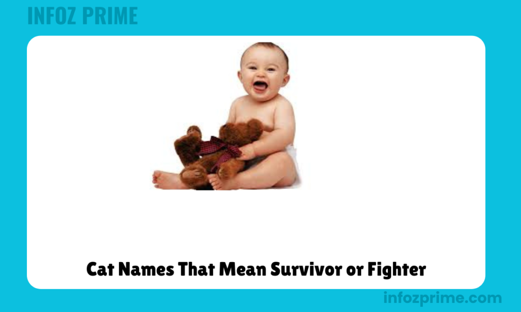 Cat Names That Mean Survivor or Fighter