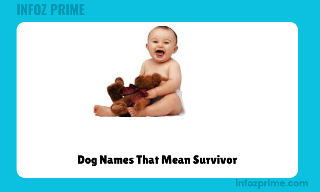 Dog Names That Mean Survivor